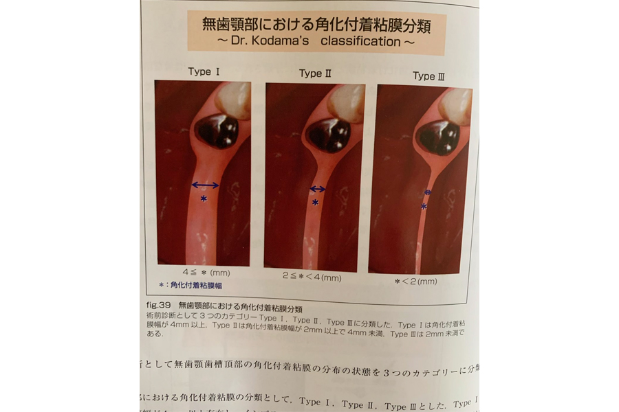 資料